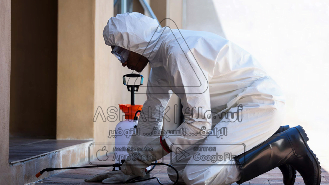 شركة مكافحة الحشرات بالدمام 